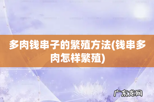 钱串多肉怎样繁殖 多肉钱串子的繁殖方法