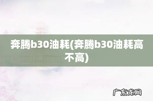 奔腾b30油耗高不高 奔腾b30油耗