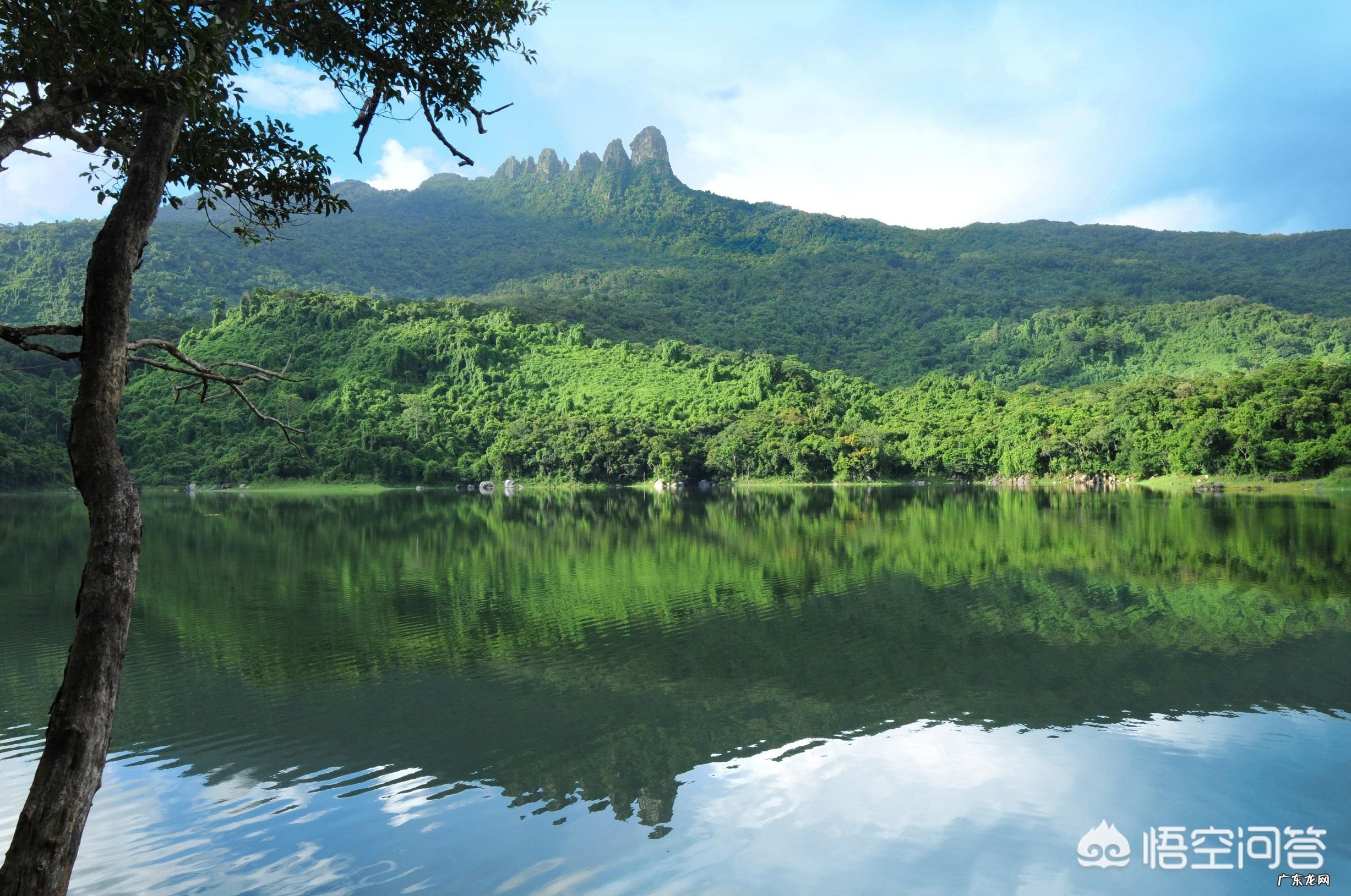 海南有哪些国家级森林公园?