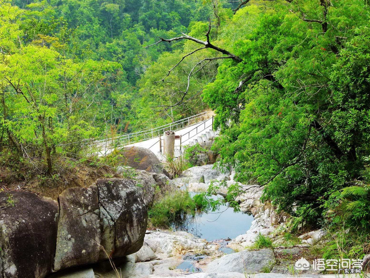 海南有哪些国家级森林公园?