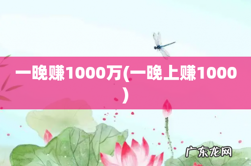 一晚上赚1000 一晚赚1000万