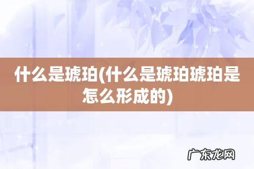 什么是琥珀琥珀是怎么形成的 什么是琥珀