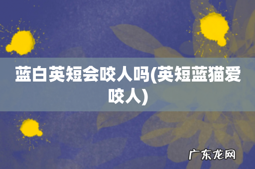 英短蓝猫爱咬人 蓝白英短会咬人吗