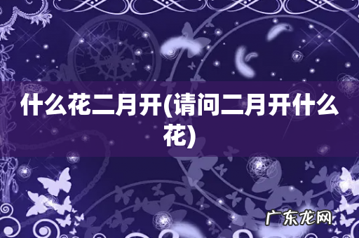请问二月开什么花 什么花二月开