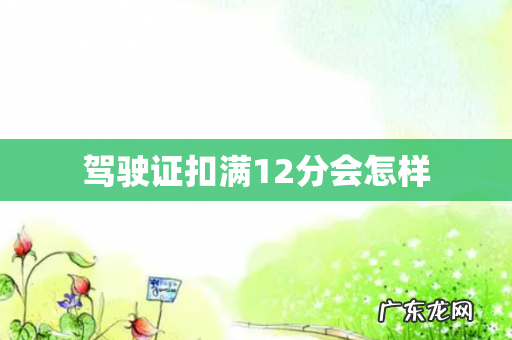 驾驶证扣满12分会怎样