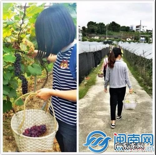 泉州哪里最适合周末度假避暑?