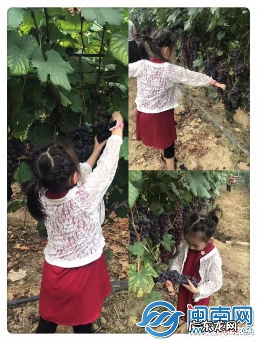 泉州哪里最适合周末度假避暑?