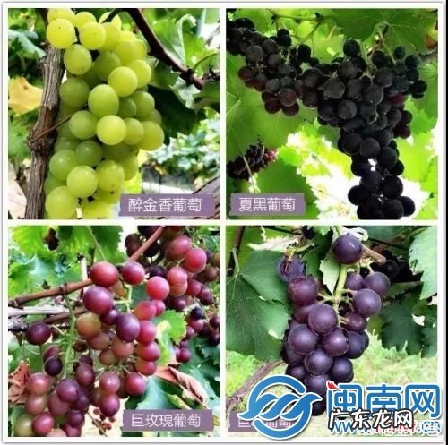 泉州哪里最适合周末度假避暑?