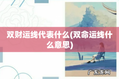 双命运线什么意思 双财运线代表什么