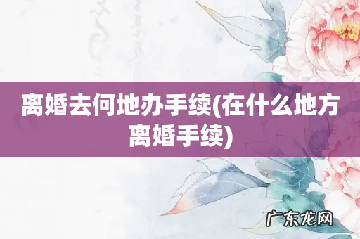 在什么地方离婚手续 离婚去何地办手续