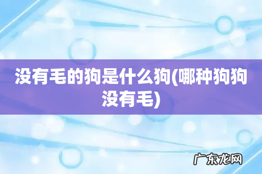哪种狗狗没有毛 没有毛的狗是什么狗