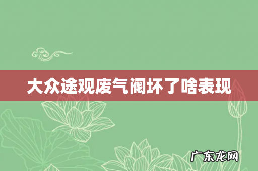 大众途观废气阀坏了啥表现