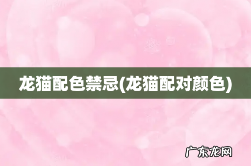 龙猫配对颜色 龙猫配色禁忌