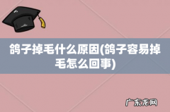 鸽子容易掉毛怎么回事 鸽子掉毛什么原因