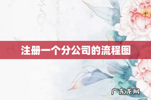 注册一个分公司的流程图