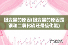 银变黑的原因是银和二氧化硫还是硫化氢 银变黑的原因