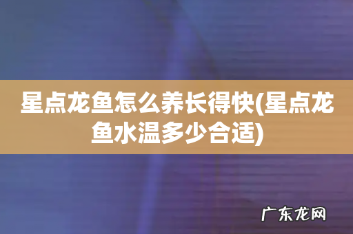 星点龙鱼水温多少合适 星点龙鱼怎么养长得快