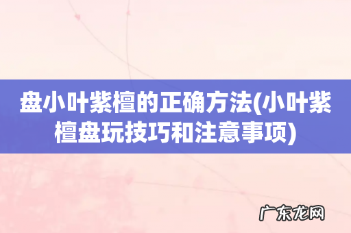 小叶紫檀盘玩技巧和注意事项 盘小叶紫檀的正确方法