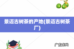 景迈古树茶厂 景迈古树茶的产地