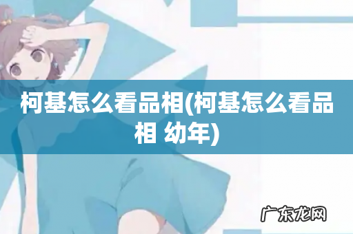 柯基怎么看品相 幼年 柯基怎么看品相