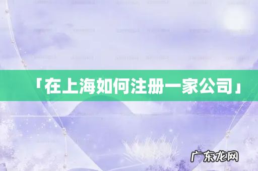 「在上海如何注册一家公司」