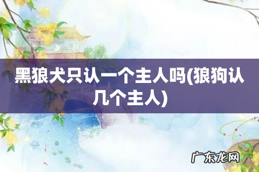 狼狗认几个主人 黑狼犬只认一个主人吗
