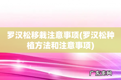 罗汉松种植方法和注意事项 罗汉松移栽注意事项