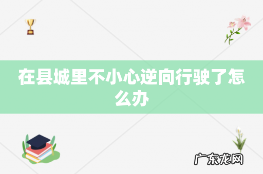 在县城里不小心逆向行驶了怎么办