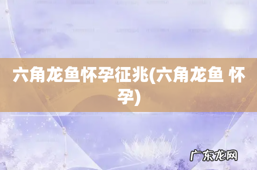 六角龙鱼 怀孕 六角龙鱼怀孕征兆