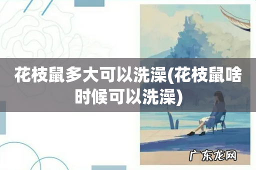 花枝鼠啥时候可以洗澡 花枝鼠多大可以洗澡