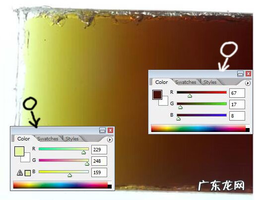 吃南瓜子油好还是南瓜子好 南瓜子油大吗