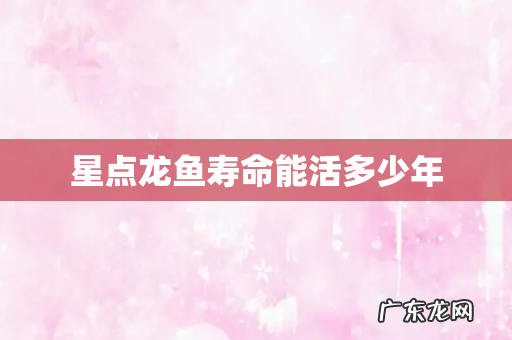 星点龙鱼寿命能活多少年