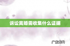诉讼离婚需收集什么证据