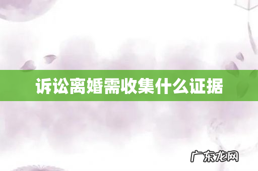 诉讼离婚需收集什么证据