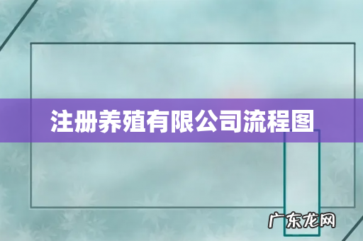 注册养殖有限公司流程图