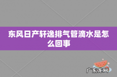 东风日产轩逸排气管滴水是怎么回事