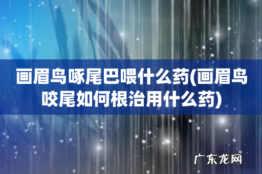 画眉鸟咬尾如何根治用什么药 画眉鸟啄尾巴喂什么药