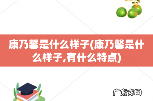 康乃馨是什么样子,有什么特点 康乃馨是什么样子