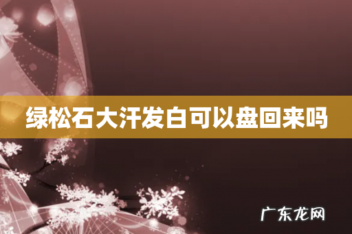 绿松石大汗发白可以盘回来吗