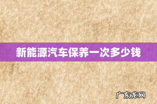 新能源汽车保养一次多少钱