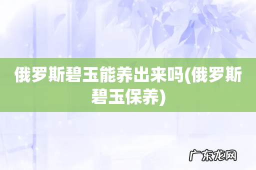 俄罗斯碧玉保养 俄罗斯碧玉能养出来吗
