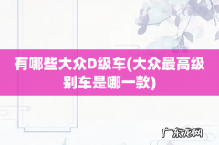 大众最高级别车是哪一款 有哪些大众D级车