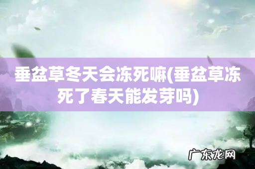 垂盆草冻死了春天能发芽吗 垂盆草冬天会冻死嘛