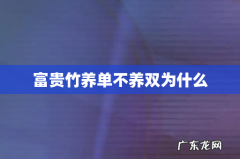 富贵竹养单不养双为什么