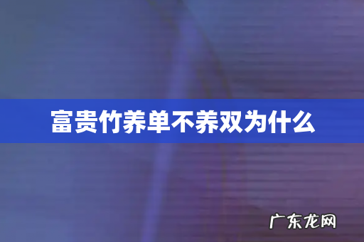 富贵竹养单不养双为什么