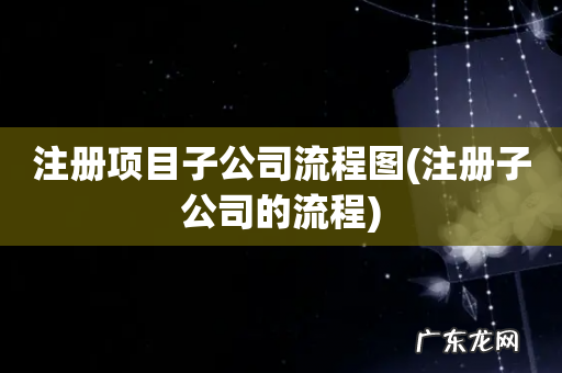 注册子公司的流程 注册项目子公司流程图