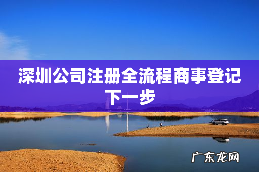 深圳公司注册全流程商事登记下一步