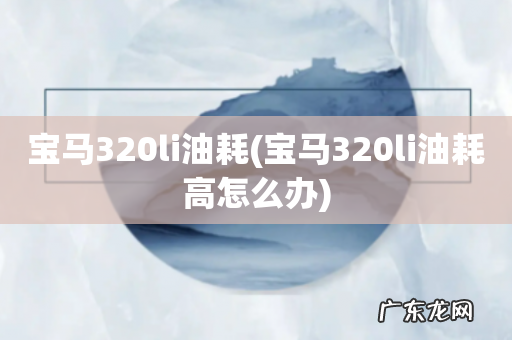 宝马320li油耗高怎么办 宝马320li油耗