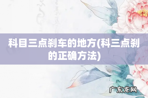 科三点刹的正确方法 科目三点刹车的地方