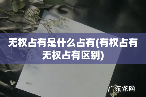有权占有无权占有区别 无权占有是什么占有
